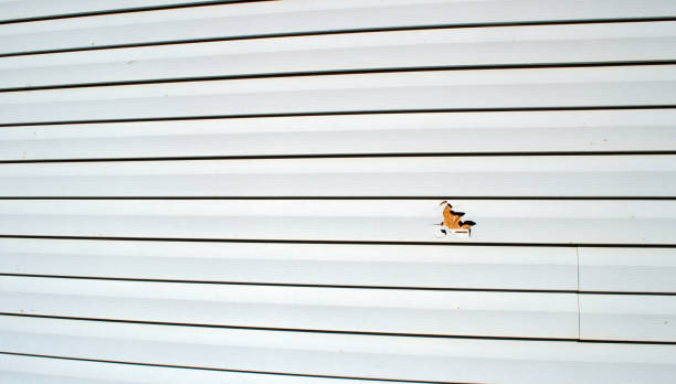 Best James Hardie Siding  in Lumberton, NC